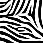 Profile Picture of Allisonkearley (@allisonkearley1) on Instagram