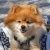 Profile Picture of Marilyn Sutherland (@mardonsutherlan) on Pinterest