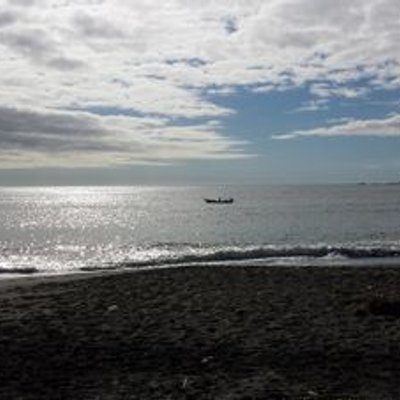 Mario Soto - Twitter Profile Picture of Mario Soto (@Mario_SotoN) on Twitter