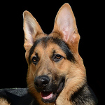 Profile Picture of _rney_ (@_rney_) on Flickr