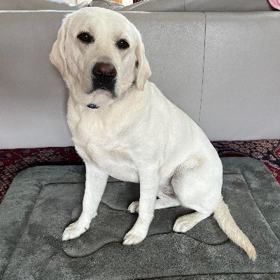 Profile Picture of Glenn R Carroll (@Glenn_R_Carroll) on Twitter