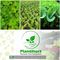 Profile Picture of Juan Emilio O'leary Plantihort (@plantihort) on Facebook