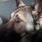 Profile Picture of Mark Grebe (@grebemark) on Facebook