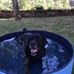Profile Picture of Duncan Foster (@Duncan-Foster) on Facebook