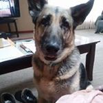 Profile Picture of Cindy Rogan (@cindy.rogan.31) on Instagram