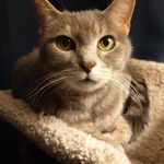 Profile Picture of Chris Hostetter (@hostetter_chris) on Instagram