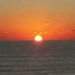 Profile Picture of carlos alberto forero talero (@carlosalbertoforerotalero) on Pinterest