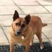 Profile Picture of Nancy Pugh (@nancy.pugh.92775) on Facebook
