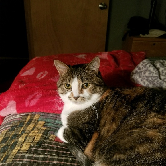 Profile Picture of Sabrina Hochule (@sabrinahoul) on Poshmark