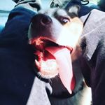 Profile Picture of Sam Zweig (@sam_zweig) on Instagram
