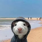 Profile Picture of Eryk Modrak (@Eryk-Modrak) on Facebook