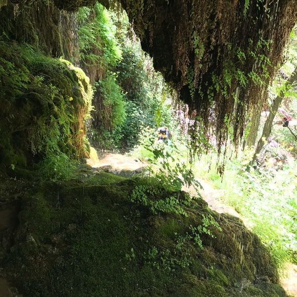 Profile Picture of Alejandra Simon (@alegu22) on Poshmark