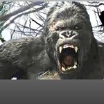 Tomasi Viliami Kaulave Jr. - Instagram Profile Picture of Tomasi Viliami Kaulave Jr. (@kaufusi.semisi_akengata) on Instagram