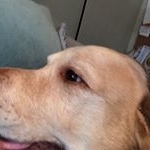 Profile Picture of Jeff Janssen (@jayge1118) on Instagram