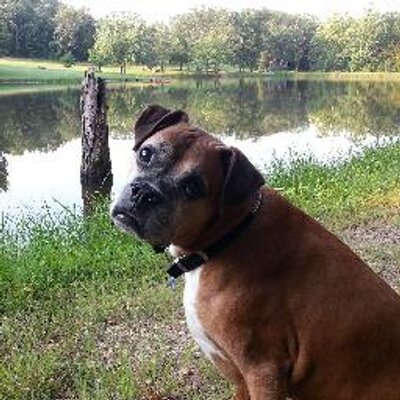 Profile Picture of Cory Gill (@cpgill1) on Twitter