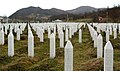 Profile Picture of Srebrenica massacreon Wikipedia