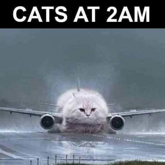 Profile Picture of Bryanne Boyling (@bryanneboyling) on Poshmark