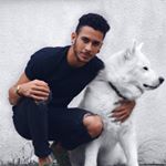 Profile Picture of harvey (@harveyroye) on Instagram