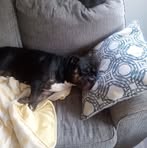 Profile Picture of Brian Billman (@brian.billman.2025) on Facebook