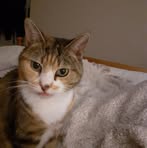 Profile Picture of Lorraine Yap (@lorraine.yap.33) on Facebook