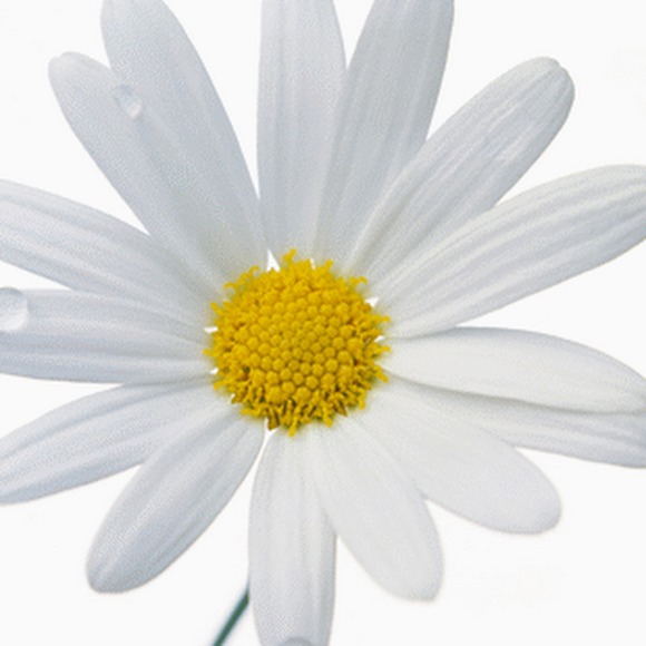 Profile Picture of Julia Binegar (@jbug829) on Poshmark