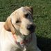 Profile Picture of Steve Ostling (@steve.ostling.1) on Facebook