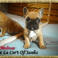 Profile Picture of Jessica Arcos (@jessica-arcos) on Quora