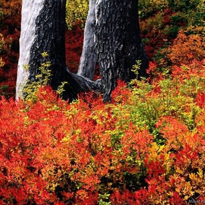 Profile Picture of Winston Kim (@winstonkim) on Twitter