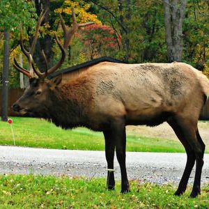 Profile Picture of Tim Hickox (@tjhickox) on Twitter