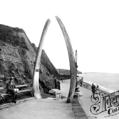 DAVID BRUNT - Twitter Profile Picture of DAVID BRUNT (@DAVIDARBRUNT) on Twitter