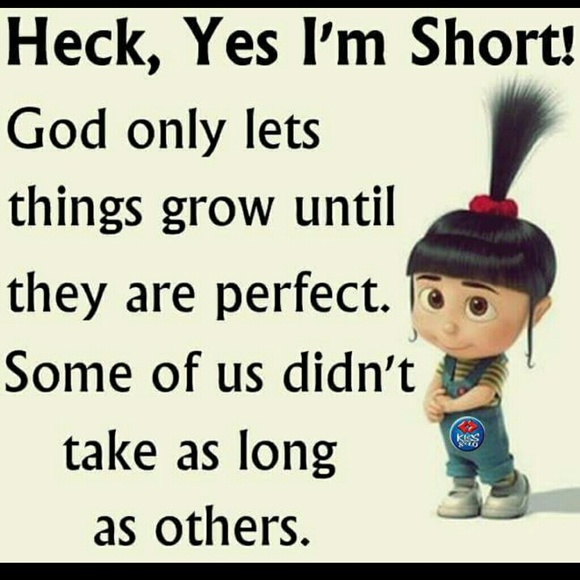 Profile Picture of Lisette Sanchez (@lisette0511) on Poshmark