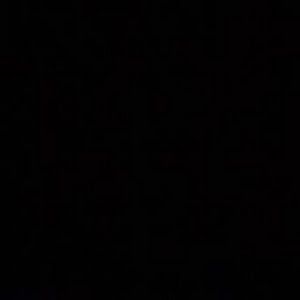 Profile Picture of 107 Gänge (@@jesseschaaf) on Tiktok