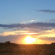 Profile Picture of Malvika Patel (@malvikapatel7313) on Youtube