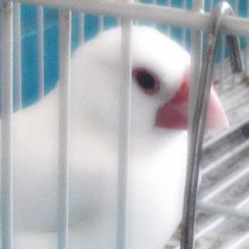 Profile Picture of Cooper Gordon (@cooper9527c) on Pinterest