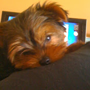 Profile Picture of Kendall Stout (@kendallstout9136) on Youtube