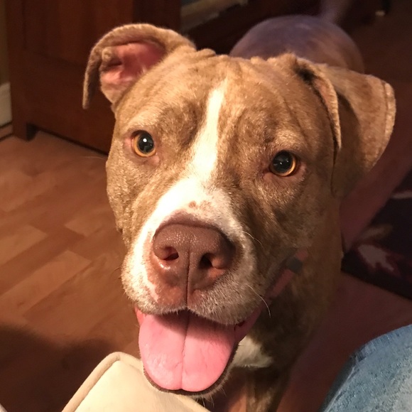 Profile Picture of Rebecca Bjoraker (@mabekk) on Poshmark