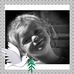 Profile Picture of Edward Byrne (@edward.byrne3) on Facebook