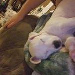 Profile Picture of Heather Lamp (@heather.lamp.79) on Instagram