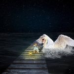 Profile Picture of Hoo Soon Yoo (@hoosoonyoo) on Instagram