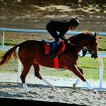 Profile Picture of kevinbangs (@kevinbangs) on Instagram