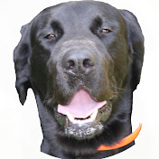 The Fannon Family - Youtube Profile Picture of The Fannon Family (@thefannonfamily159) on Youtube