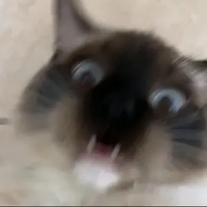 Profile Picture of Deczz (@declan.mcquade) on Tiktok