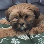 Profile Picture of Bernadette Colin (@bernadette.colin.5) on Instagram