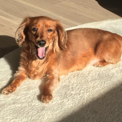 Profile Picture of 荒幡拓彦 (@TakuhikoArahata) on Twitter