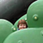 Profile Picture of Jacquelyn Thompson (@jtgatorlongwood) on Flickr