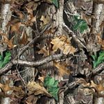 Profile Picture of brendan reid (@brendanreid28) on Instagram