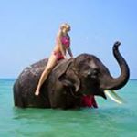 Profile Picture of Juanita D. Williamson (@loving__elephant_uk) on Instagram