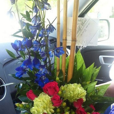 Profile Picture of Tammy Blanchard (@blanchard_tammy) on Twitter