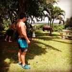 Profile Picture of Josh Marshall (@joshrugga_) on Instagram