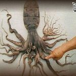 Profile Picture of Dane Schumann (@totenritual7) on Instagram